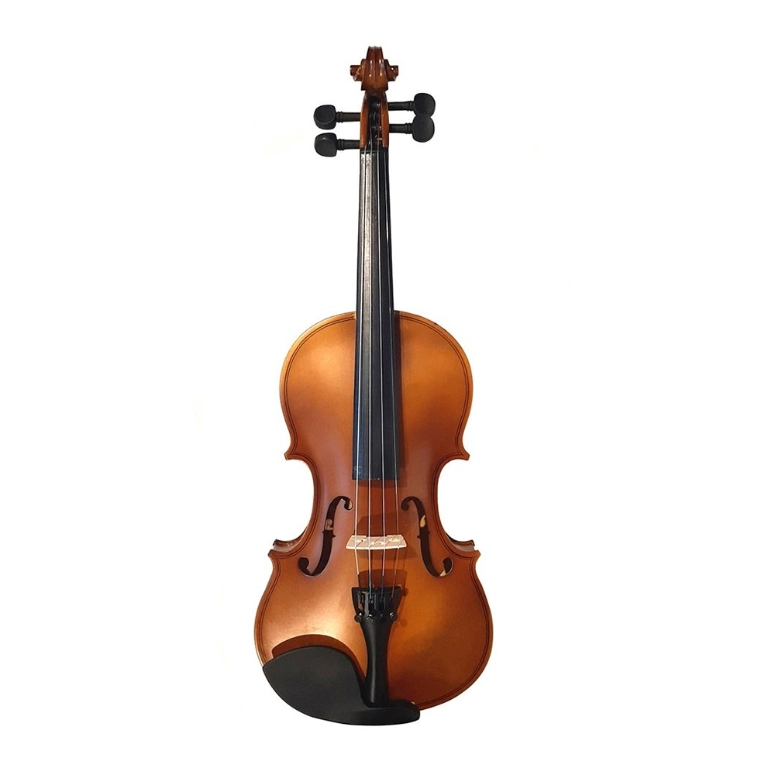 VIOLIN 4/4 CON ESTUCHE STRADELLA MV1410 L44 - 1