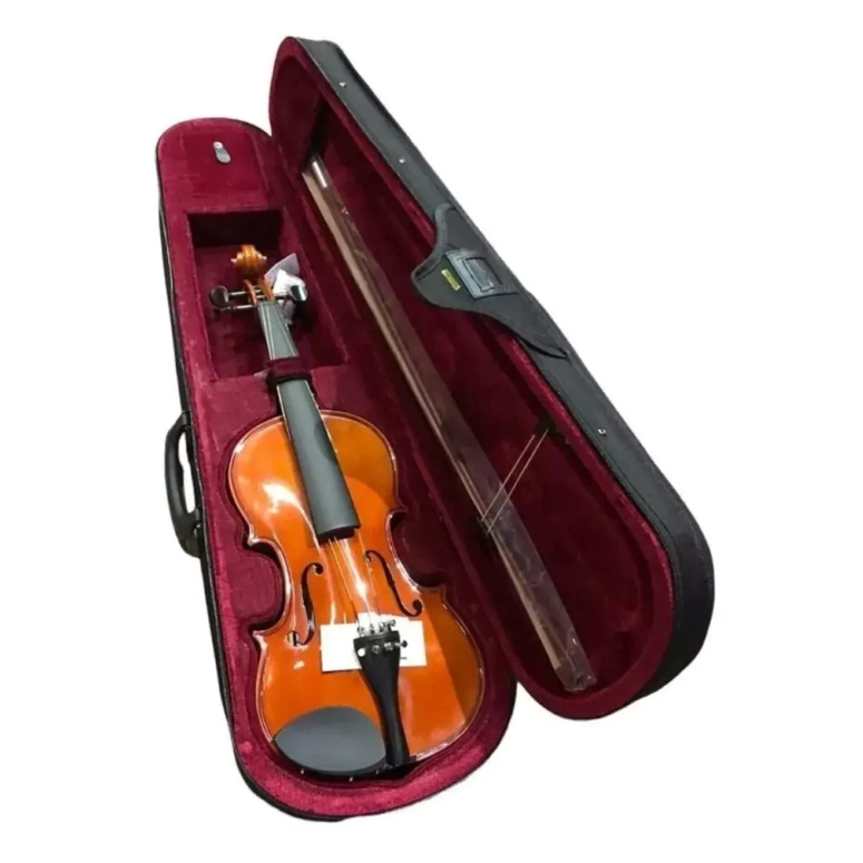 VIOLIN 4/4 CON ESTUCHE STRADELLA MV1410 L44 - 2