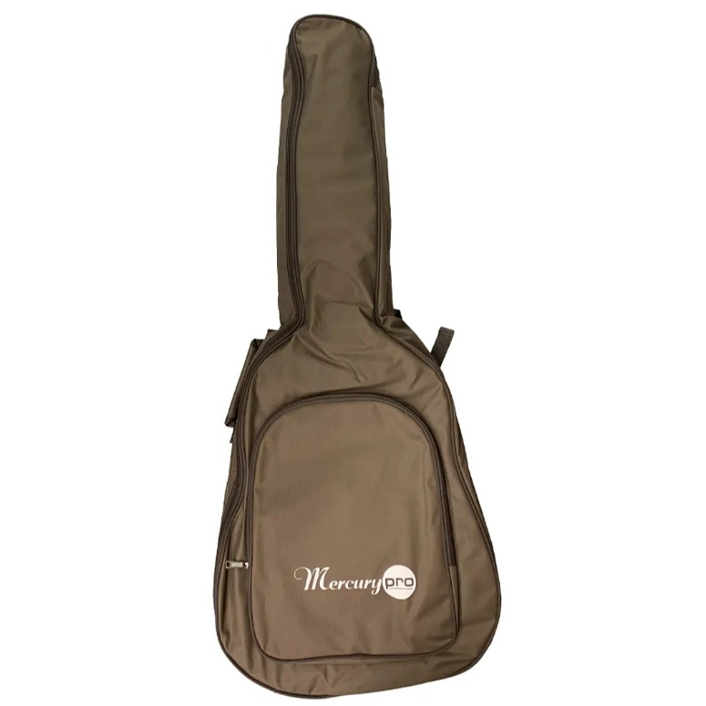 GUITARRA ELECTROACUSTICA MERCURY MPG 01 - 4