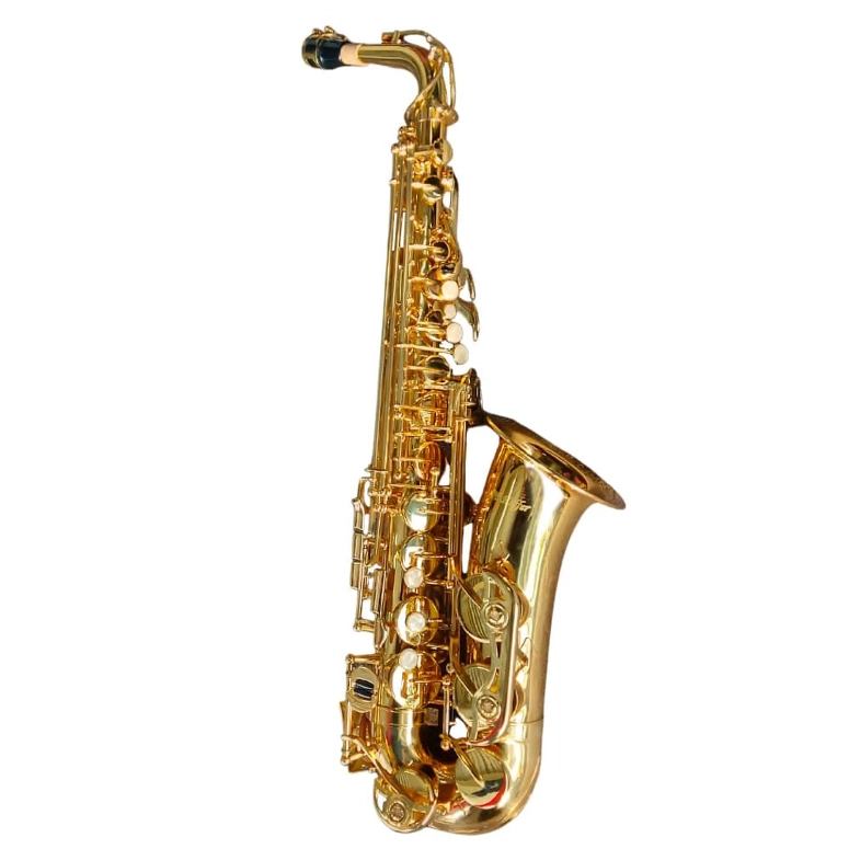 SAXO ALTO DORADO HOFFER HAS 100 - 1