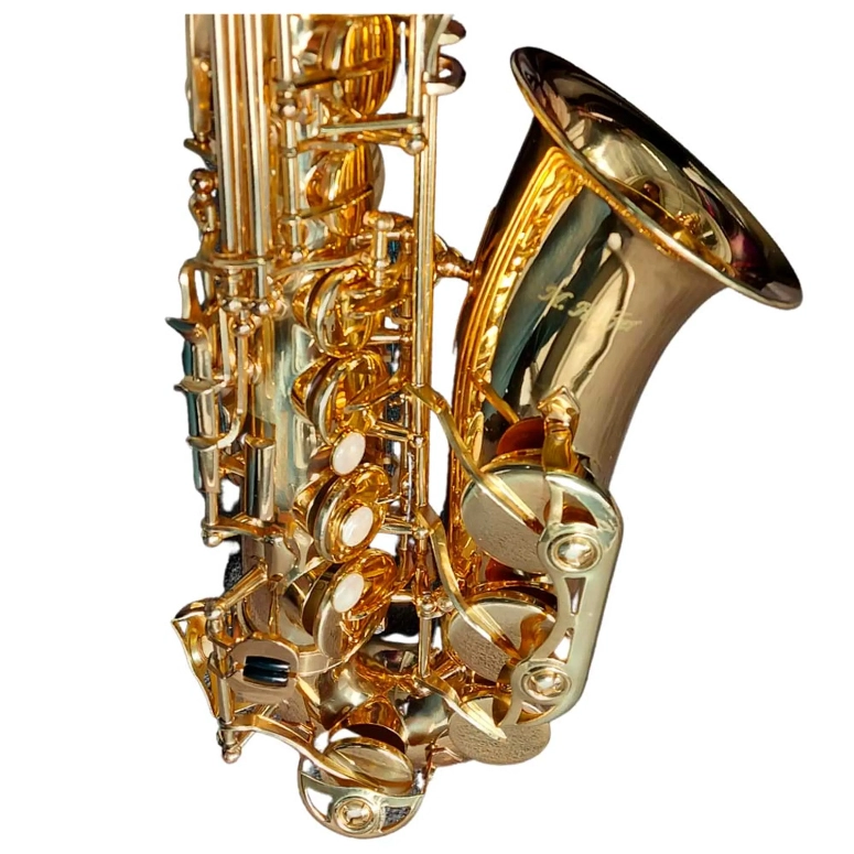 SAXO ALTO DORADO HOFFER HAS 100 - 2