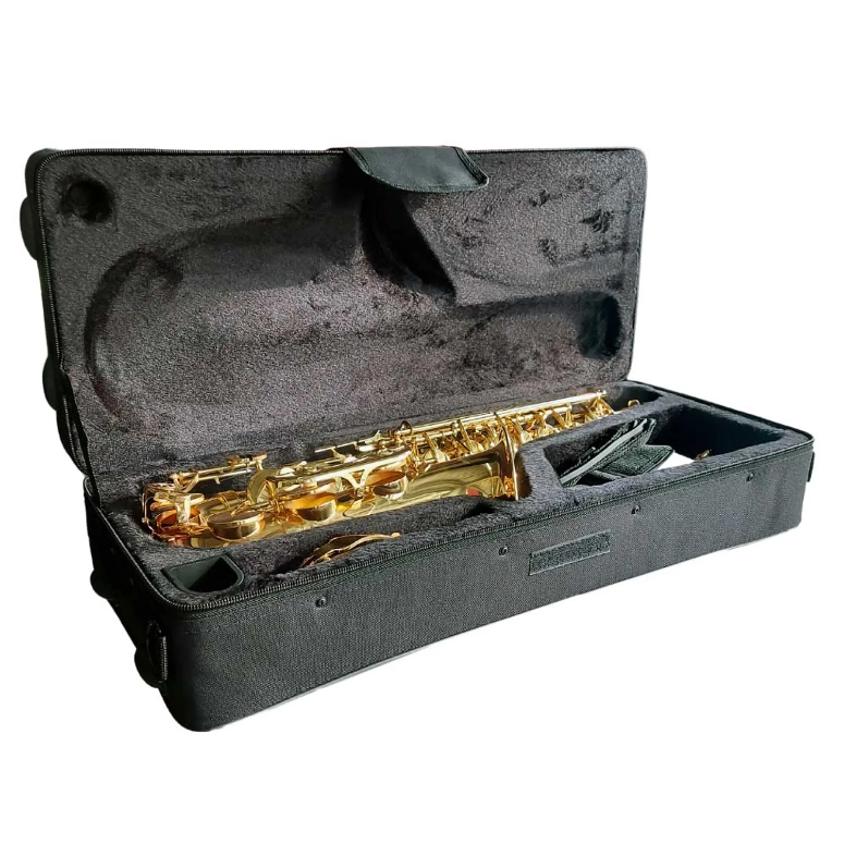 SAXO ALTO DORADO HOFFER HAS 100 - 3