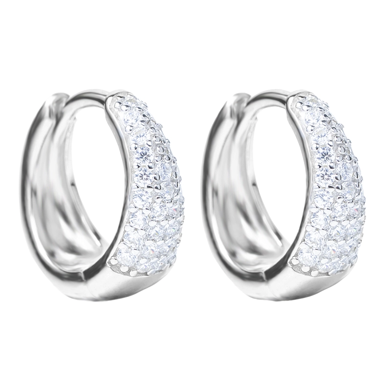 AROS ARGOLLITA  CZ - 1