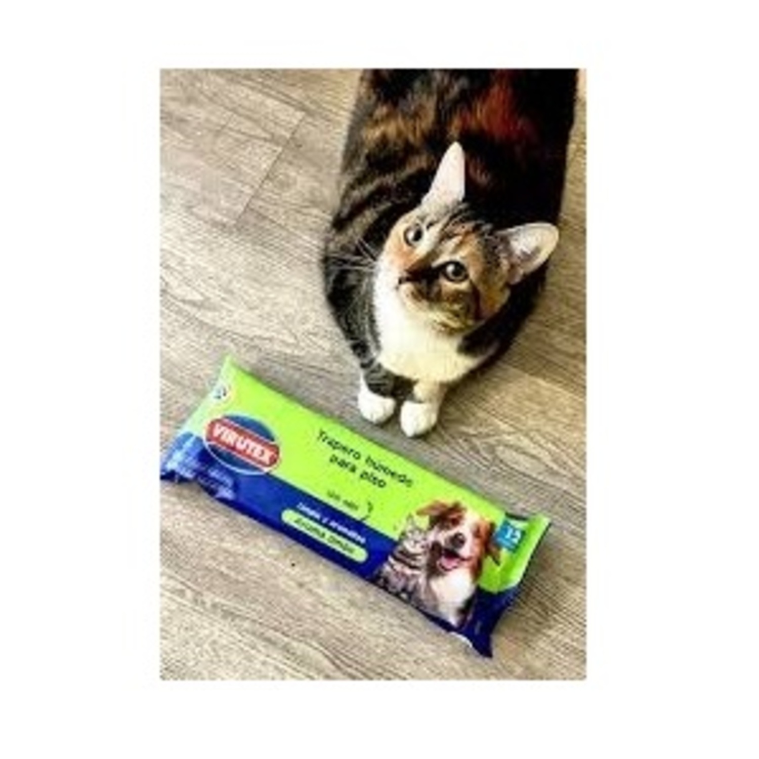 PACK X 4 TRAPERO HUMEDO PETS 12 UND. / LIMON – VIRUTEX - 1
