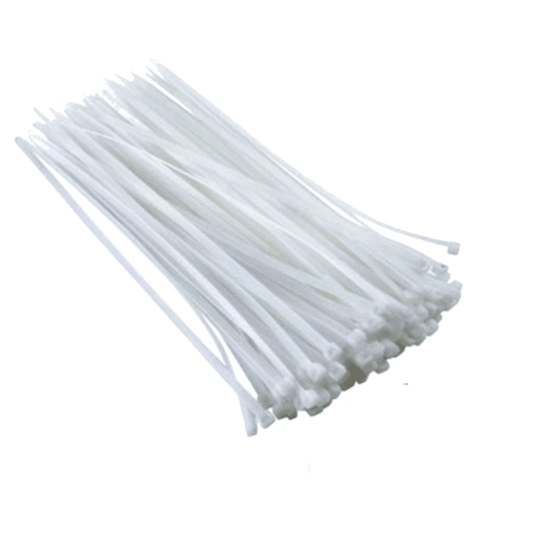 PACK X 4 BRIDAS DE NAILON PARA CABLES DE 3,6 MM X 200 MM, PAQUETE CON 100 UNIDADES - 3