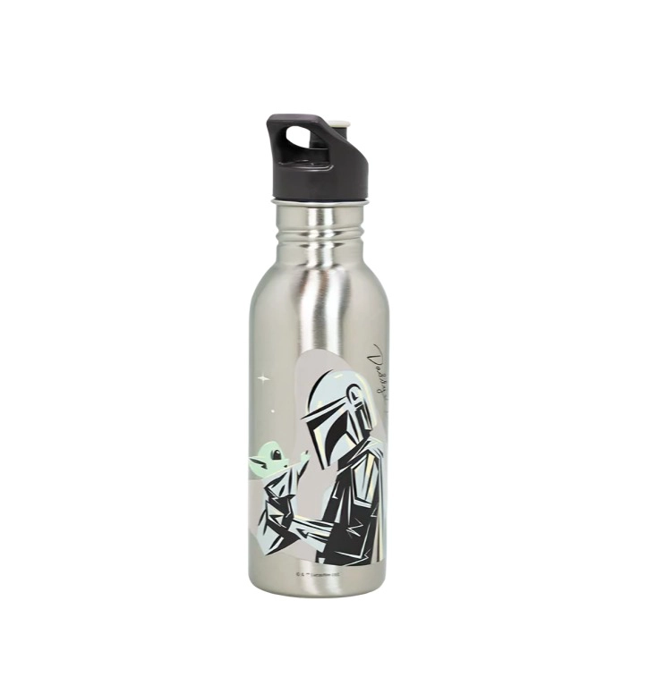 BOTELLA METALICA 600ML DDP SW - 2