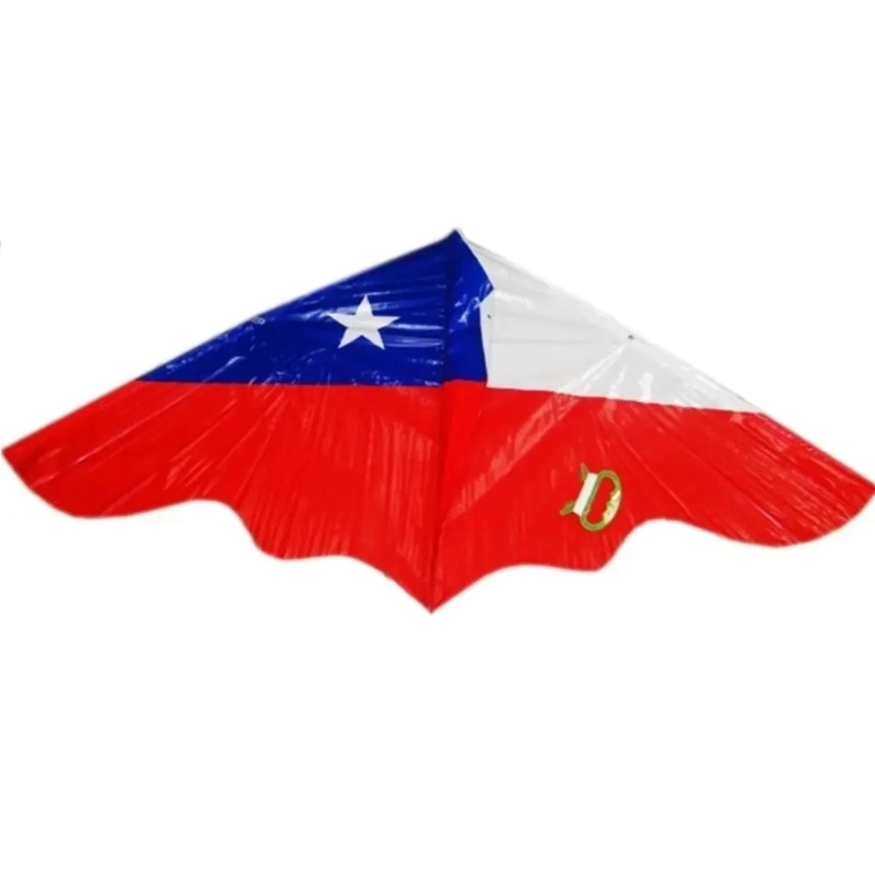 PACK X 4 COMETA PLASTICO CHILE – BIG PARTY - 1