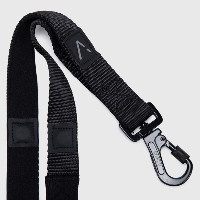 CORREA PETS COLLECTION BLACK SMALL BLACK BUBBA - 7