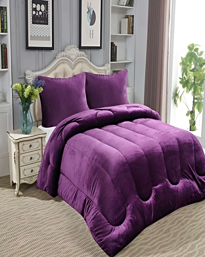 PACK COBERTOR DE INVIERNO PLUSH 1.5 PLAZA 180X200CM P12 - 3