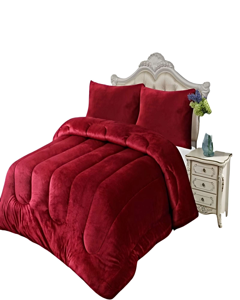 PACK COBERTOR DE INVIERNO PLUSH KING 250X270CM P3 - 2