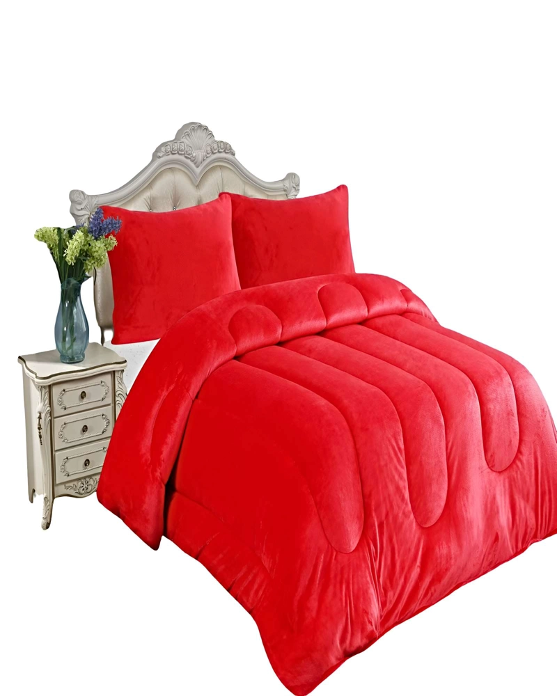 PACK COBERTOR DE INVIERNO PLUSH 2 PLAZAS 230X250CM P13 - 1