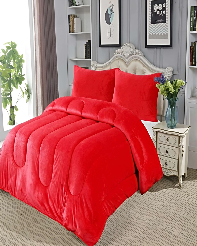 PACK COBERTOR DE INVIERNO PLUSH 2 PLAZAS 230X250CM P13 - 4