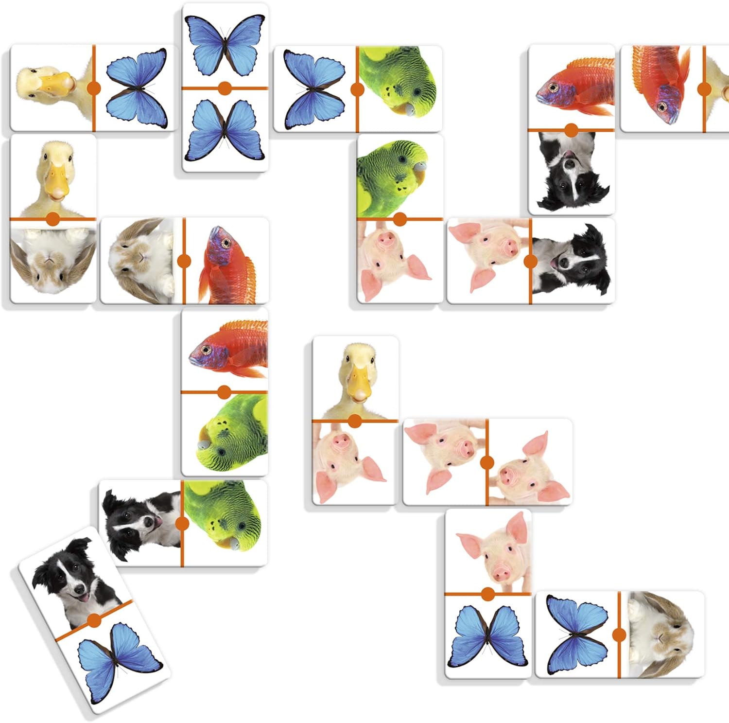 DOMINO FOTO ANIMALES 28 PZ - 2