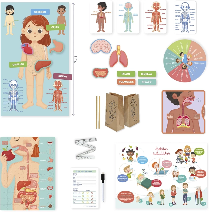 JUEGO APRENDO POSITIVO EL CUERPO HUMANO - 4