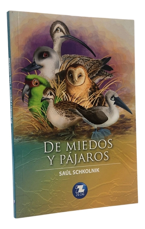 DE MIEDOS Y PAJAROS - SAUL SCHKOLNIK - 1
