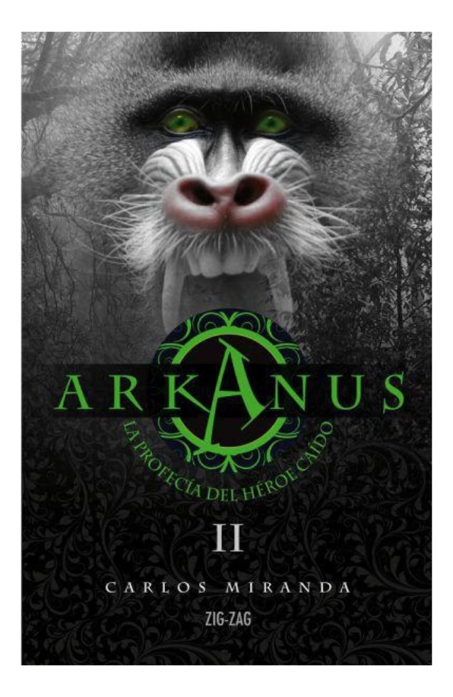 ARKANUS 2 - LA PROFECIA DEL HE ROE CAIDO - 1
