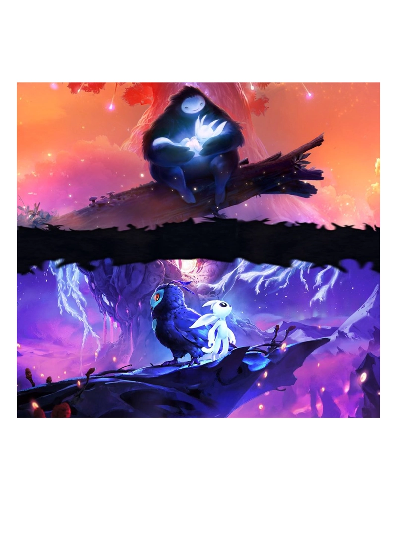ORI THE COLLECTION - NINTENDO SWTICH - 2