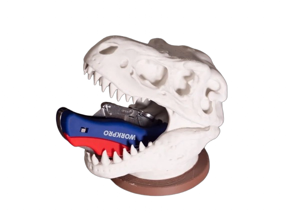 PORTALAPICES - CALAVERA DE T-REX - 1