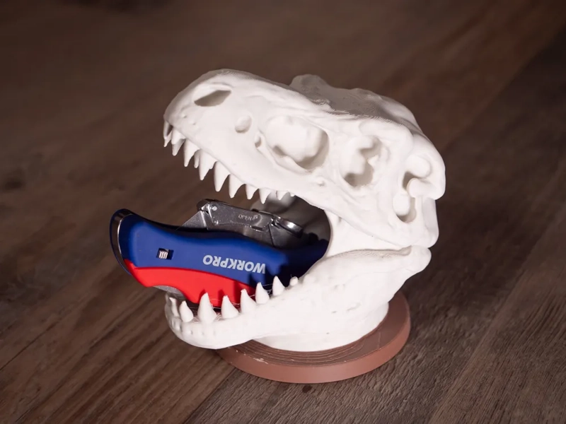 PORTALAPICES - CALAVERA DE T-REX - 4