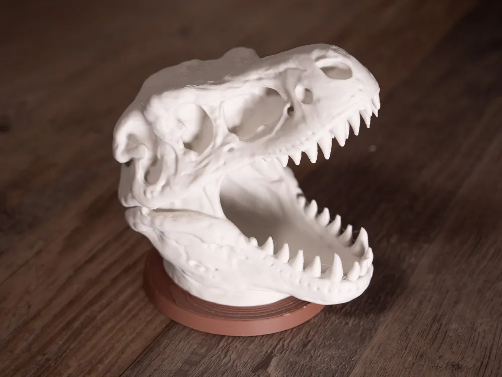 PORTALAPICES - CALAVERA DE T-REX - 5