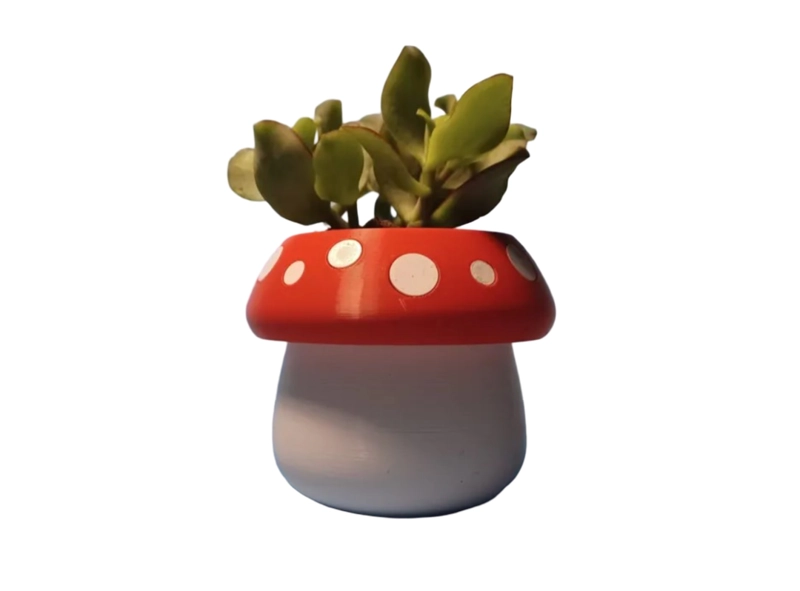 Mini maceta - Honguito - 1