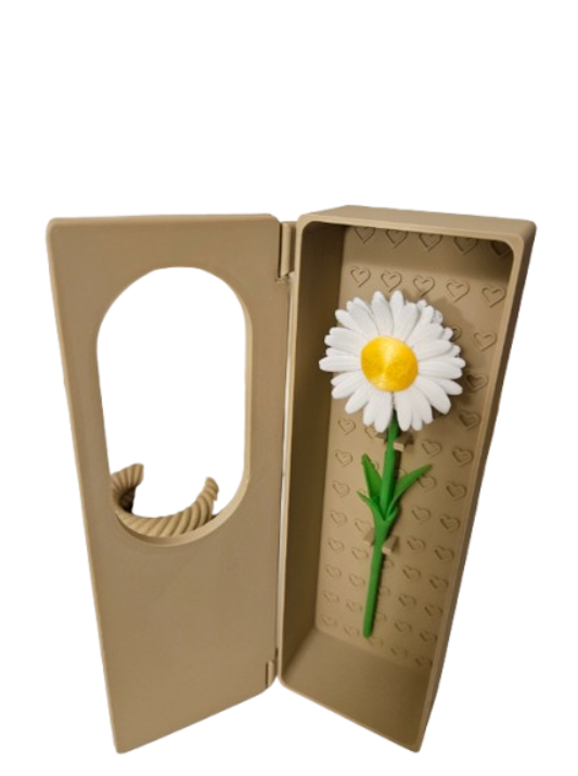 CAJA DE FLORES- SAN VALENTIN - 1