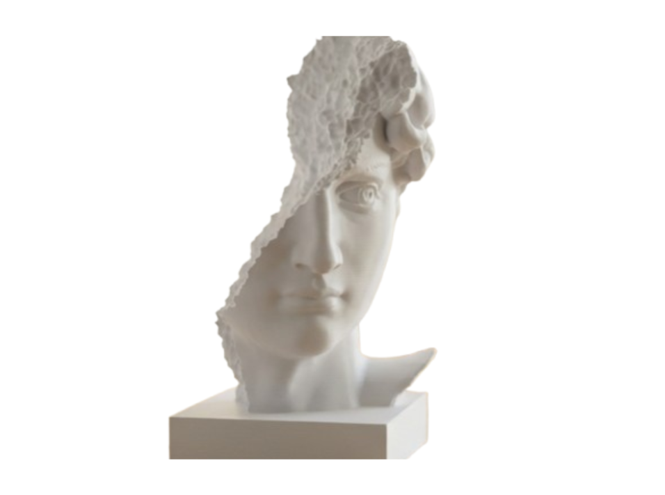 ESCULTURA- BUSTO DE DAVID ARRUINADO - 1