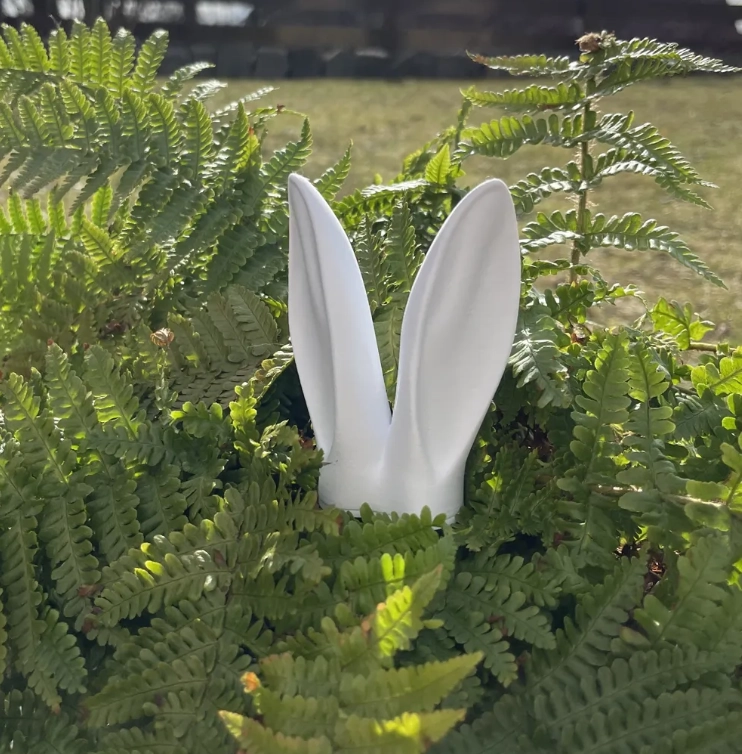 DECORACION DE PLANTAS - OREJAS DE CONEJO - 1