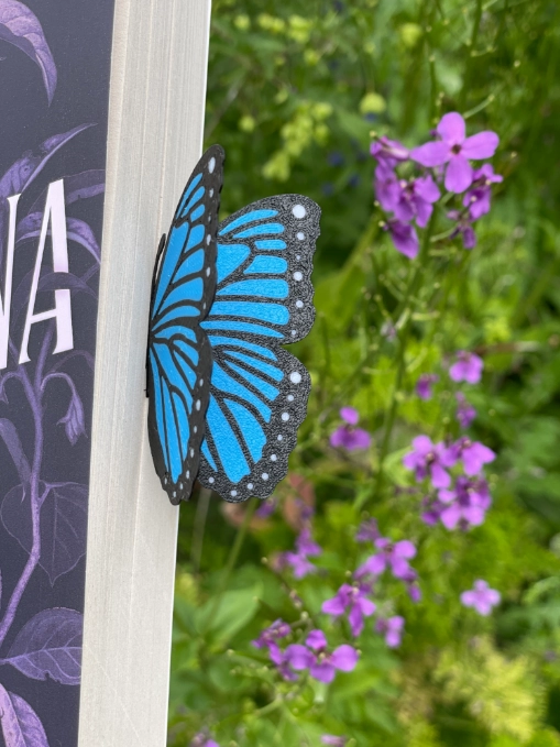 MARCAPAGINAS- MARIPOSA MORPHO AZUL - 2