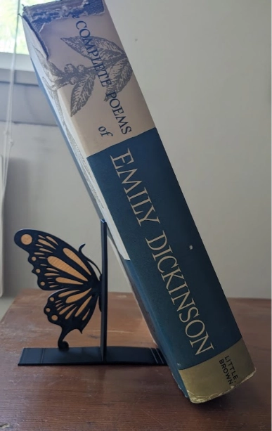 SUJETALIBROS DE MARIPOSA - 3