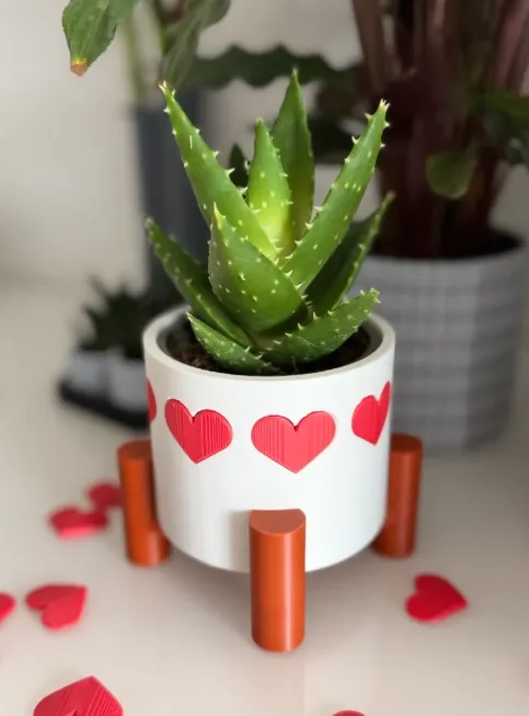 MACETA DE CORAZONES - SAN VALENTIN - 1
