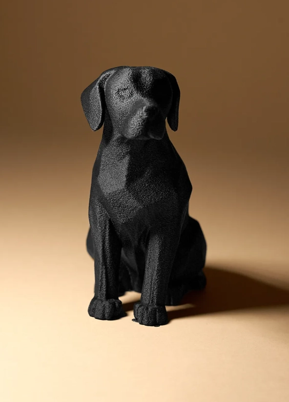 Decoración de Perro Labrador color Negro - 2