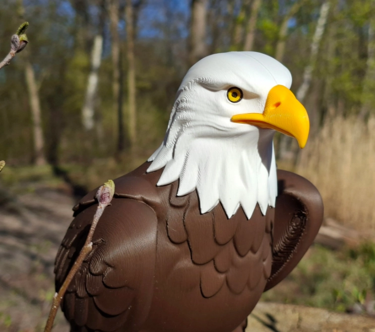 FIGURA DECORATIVA PRINTS PATRO- AGUILA CALVA - 1