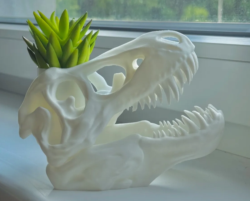 MACETERO PRINTS PATRO- T-REX ESQUELETO - 1