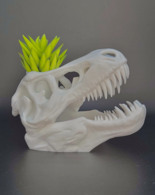 MACETERO PRINTS PATRO- T-REX ESQUELETO - 2