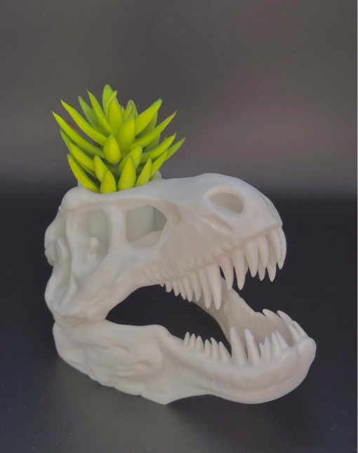 MACETERO PRINTS PATRO- T-REX ESQUELETO - 3