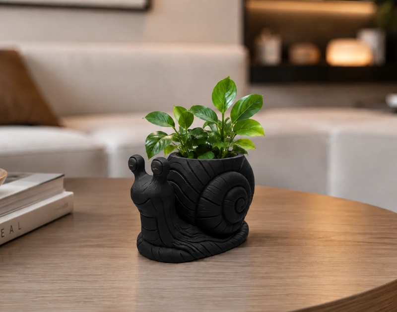 MACETERO DECORATIVO HOGAR- FORMA CARACOL 9 CM NEGRO - 1