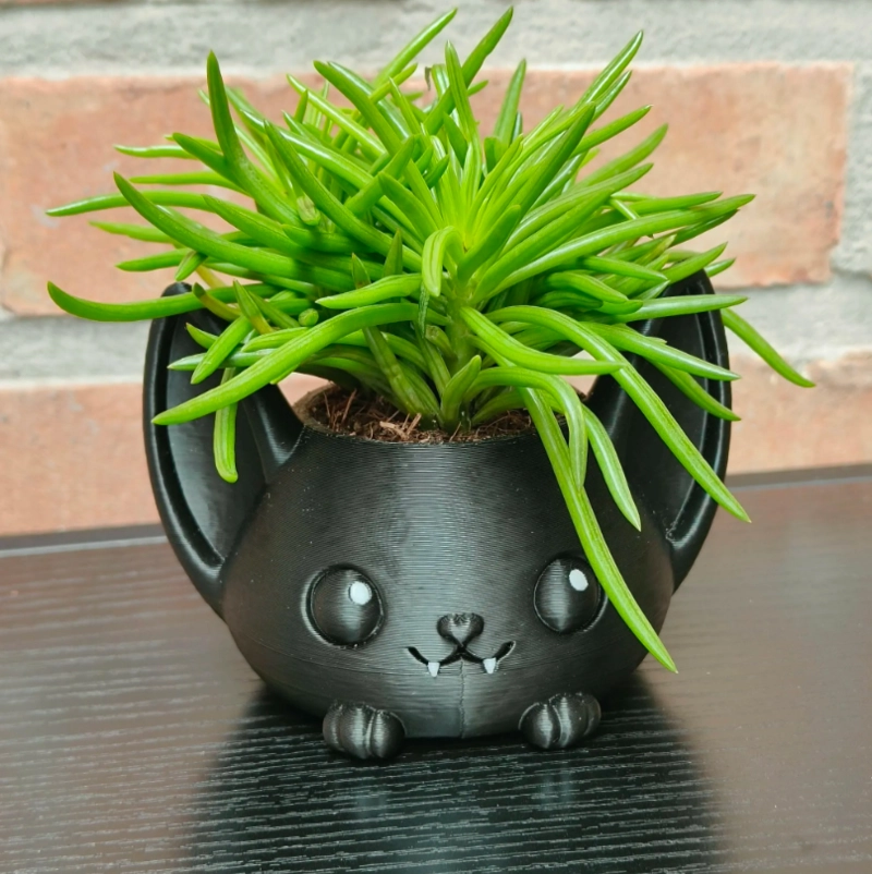 MACETERO DECORATIVO HOGAR- FORMA MURCIE LAGO 7 CM NEGRO - 1