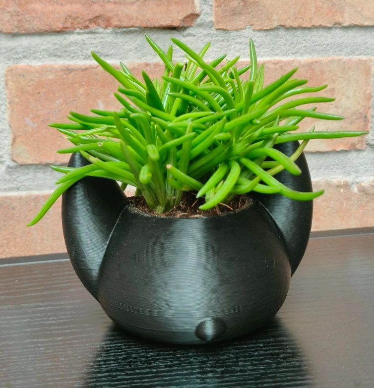 MACETERO DECORATIVO HOGAR- FORMA MURCIE LAGO 7 CM NEGRO - 5