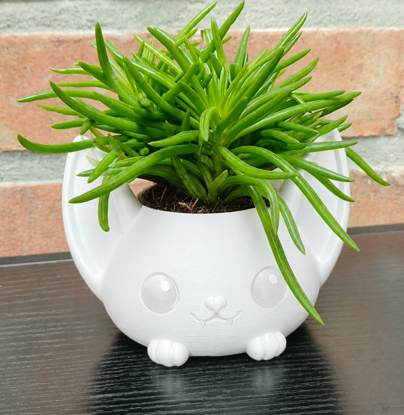 MACETERO DECORATIVO HOGAR- FORMA MURCIE LAGO 7 CM BLANCO - 4
