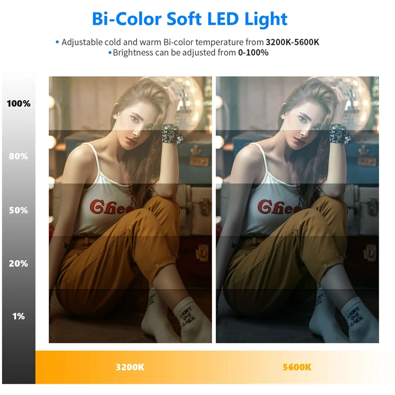 KIT DE PANEL NEEWER NL-192AI DE LUZ LED BICOLOR - 6