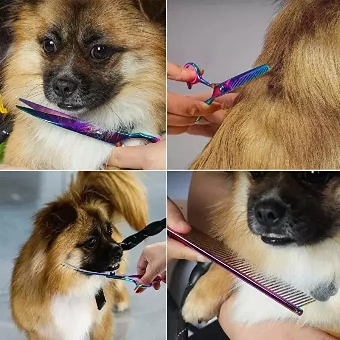 JUEGO DE TIJERAS PARA ASEO DE PERROS MASCOTAS PROFESIONAL - 3