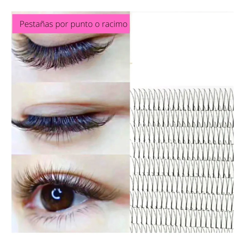 PESTAÑAS DE RACIMO O POR PUNTO - 2