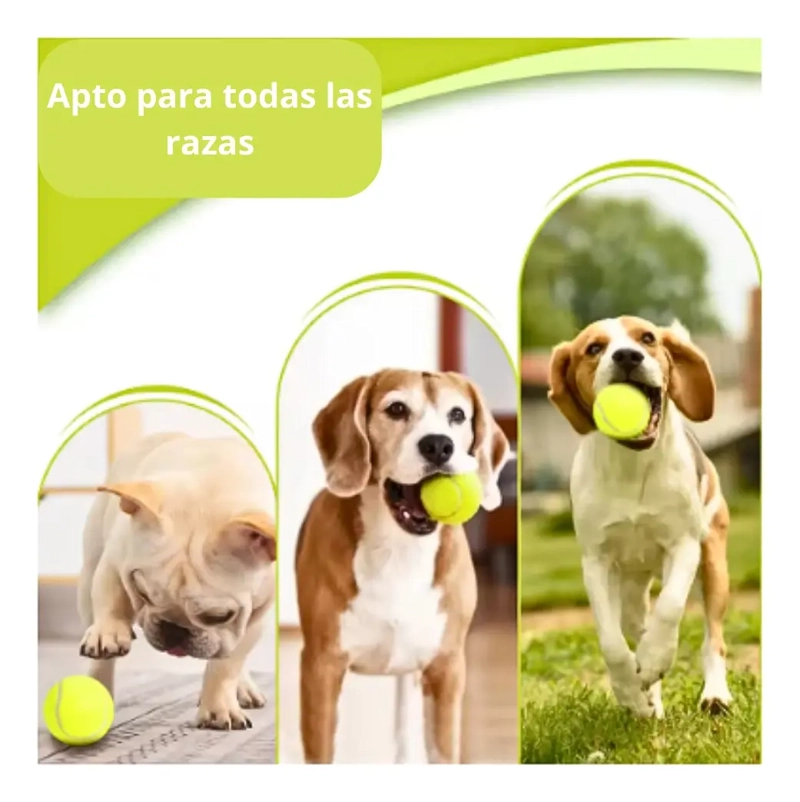 LANZADOR AUTOMATICO DE PELOTAS MAQUINA ENTRENAMIENTO PERROS - 6