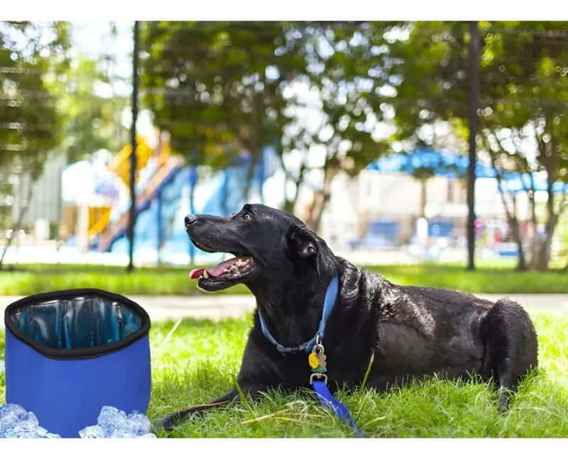 TAZON BEBEDERO GEL TE RMICO FRIO MASCOTAS PERROS GATOS - 6