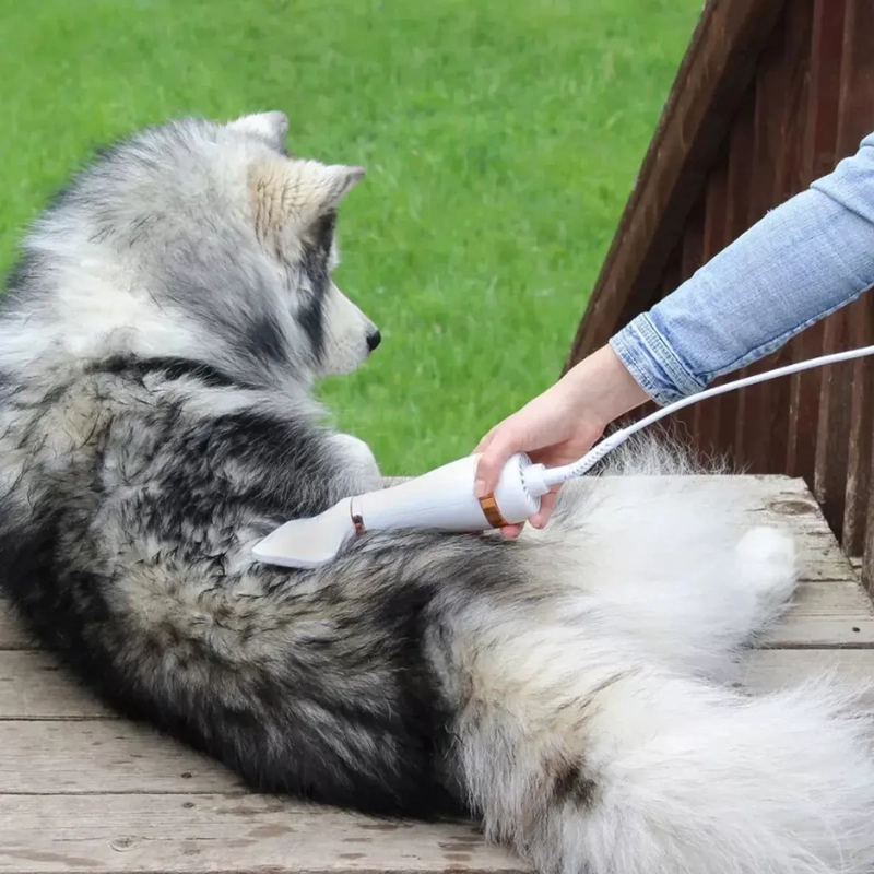 SECADOR PARA MASCOTAS CEPILLO 2 EN 1 GROOMING PERROS GATOS - 7