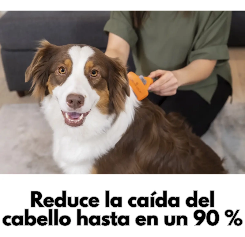 CEPILLO DESLANADOR PARA PERROS PELO LARGO TALLA M - 3