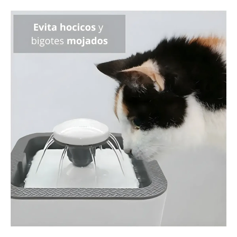 FUENTE DE AGUA MASCOTAS PERROS GATOS 2.5 LITROS AUTOMATICA - 2