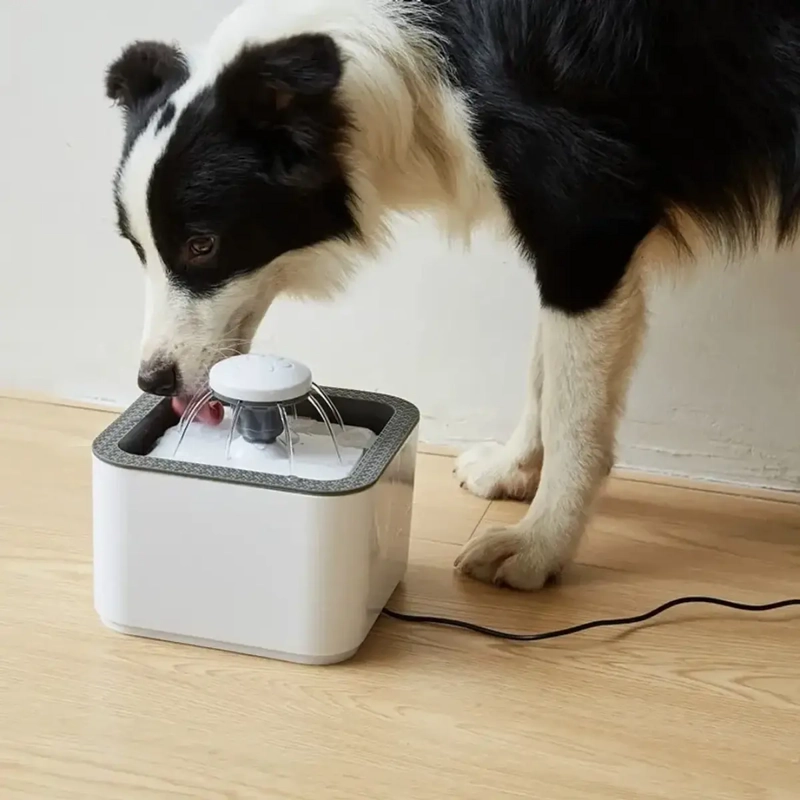 FUENTE DE AGUA MASCOTAS PERROS GATOS 2.5 LITROS AUTOMATICA - 4