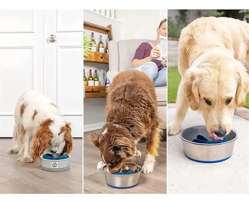 INSERTO PARA PLATO ALIMENTADOR LENTO PERROS Y GATOS SPIRAL - 5
